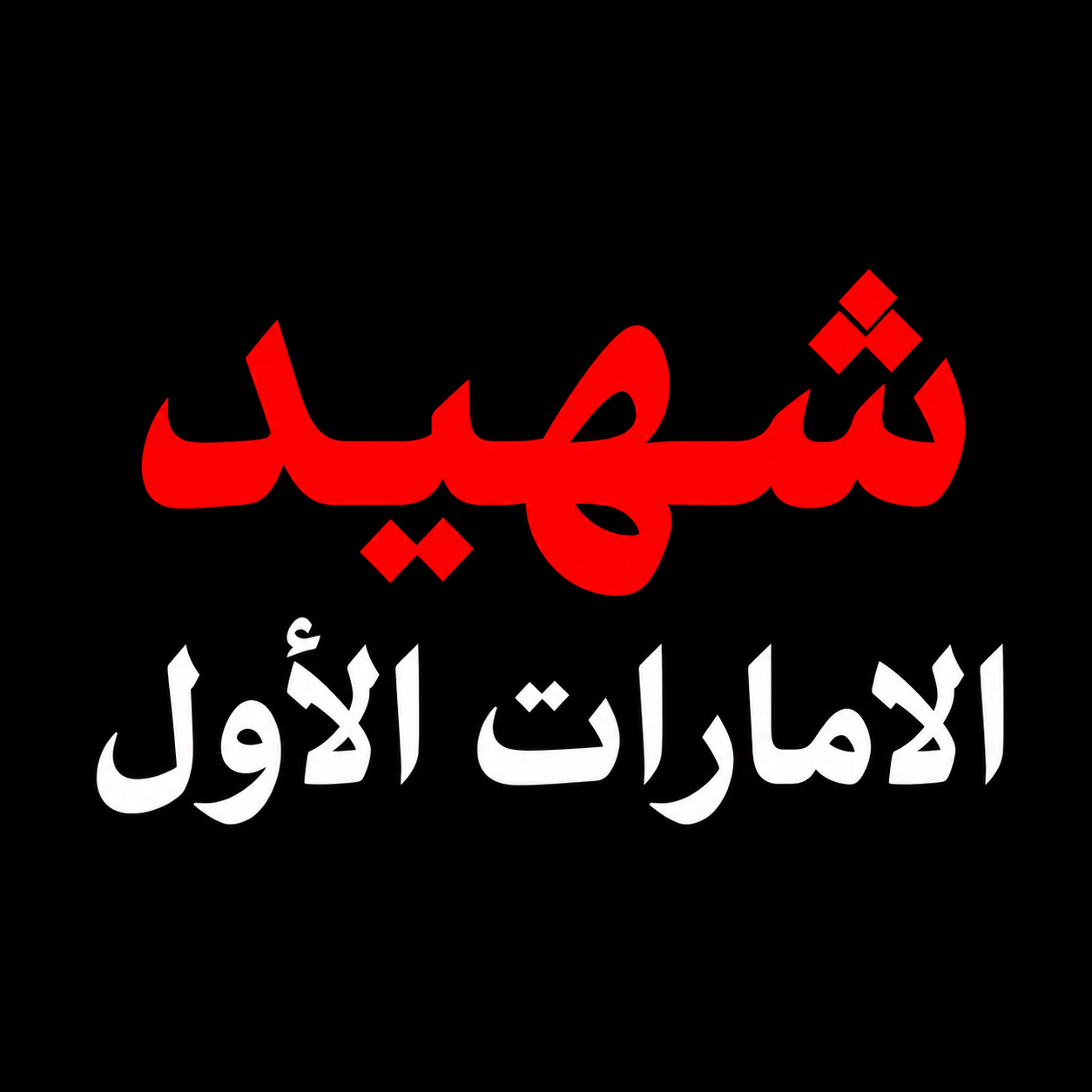 شهيد الإمارات ملف شامل لكل الدرس المفردات مع القصة