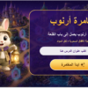 بوربوينت مغامرة أرنوب